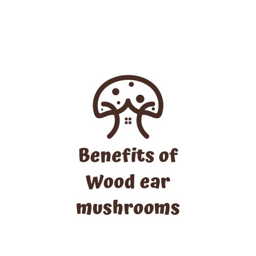 Benefits of Wood ear mushrooms