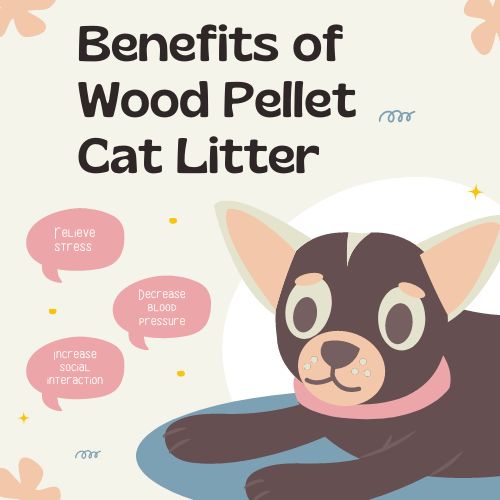 BENEFITS OF WOOD PELLET CAT LITTER