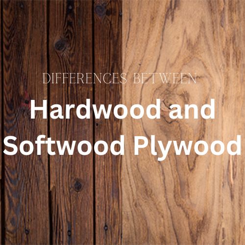 Differences between hardwood and softwood plywood.