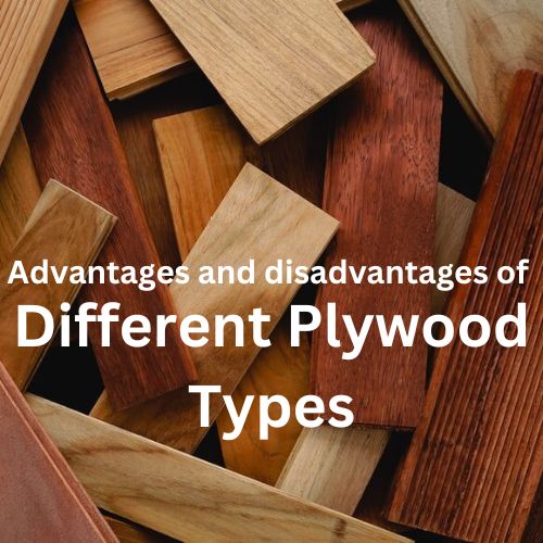 Advantages and disadvantages of different plywood types