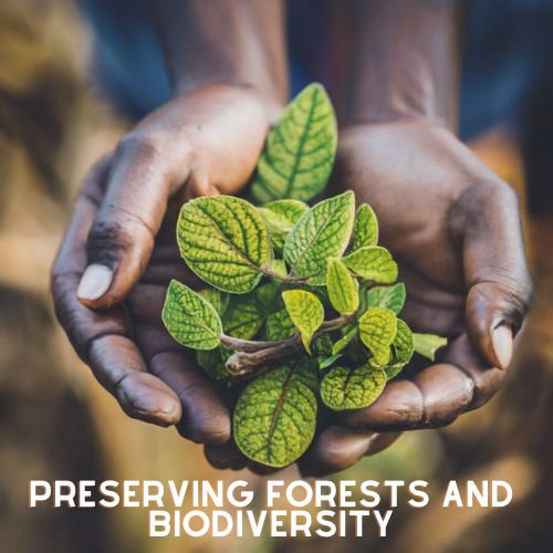 Preserving Forests and Biodiversity
