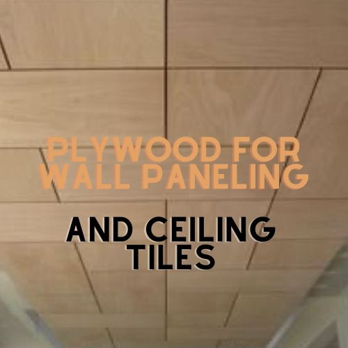 Plywood for Wall Paneling and Ceiling Tiles