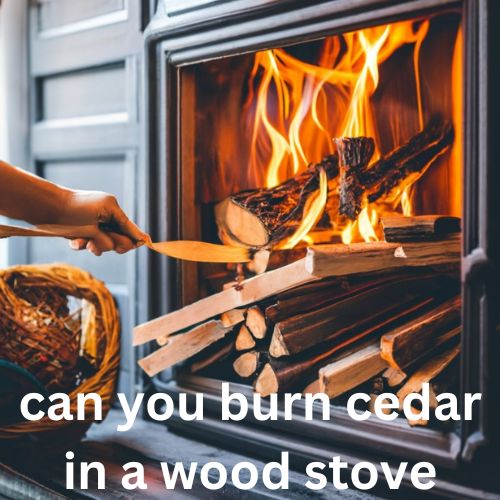 Can you Burn Cedar in a Wood Stove