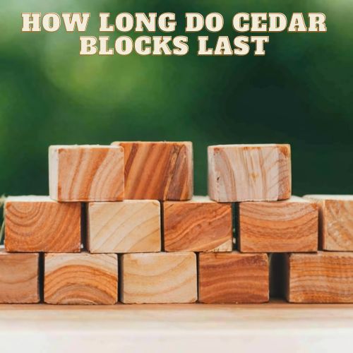 How Long Do Cedar Blocks Last