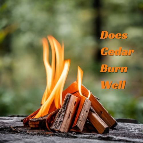 Does Cedar Burn Well